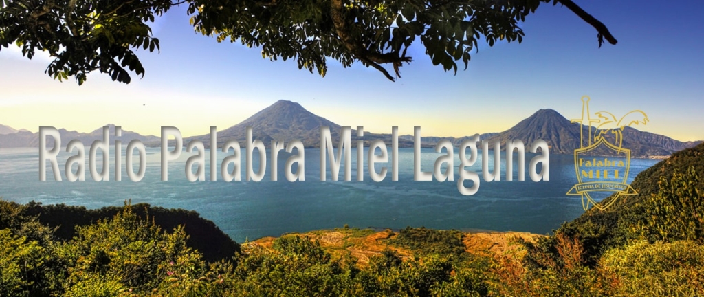 Palabra Miel Laguna