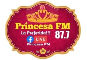 Princesa 87.7 FM-logo
