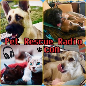 Retro Music Radio Network-logo