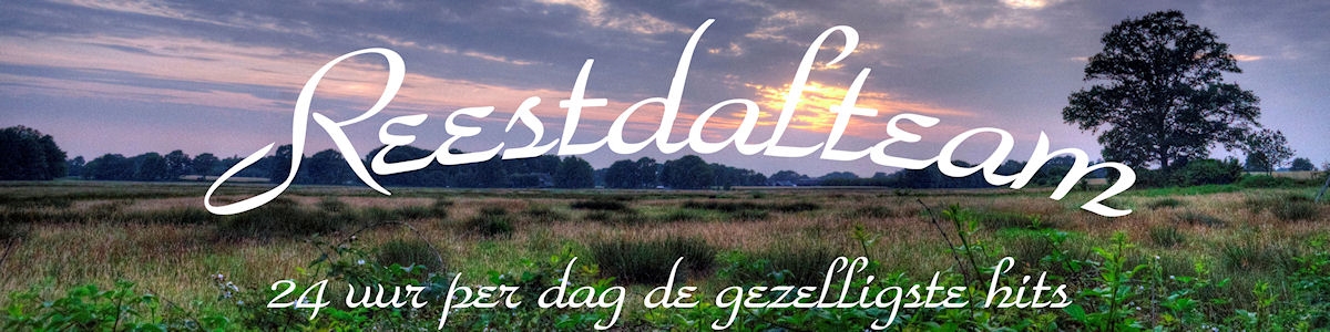 Het Reestdal Team