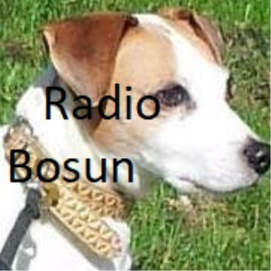 Radio Bosun-logo