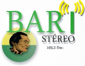 Bari Stereo-logo
