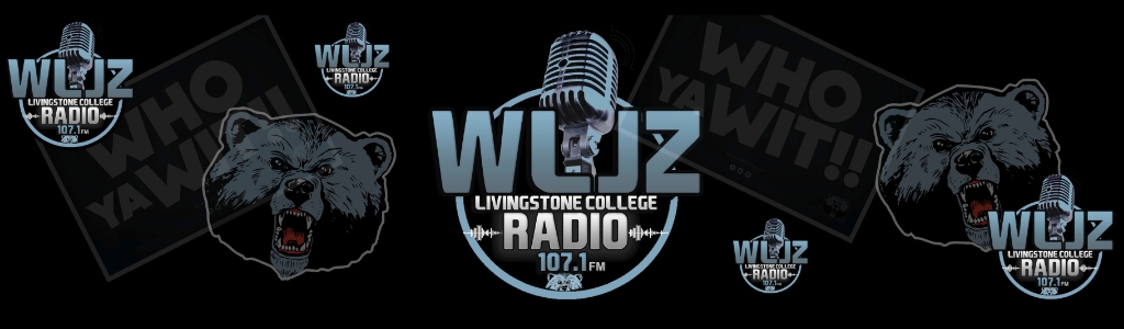 WLJZ 107.1 FM