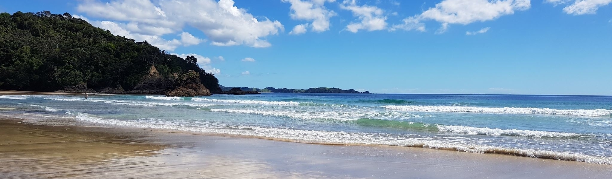 New Zealand Net Radio