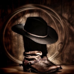 La Ranchera de villa-logo