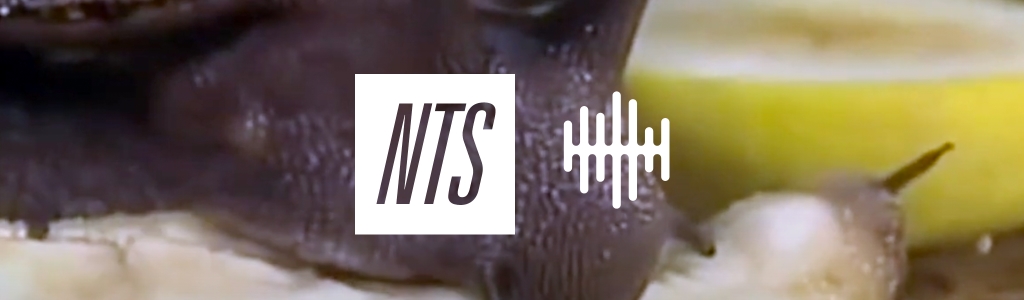 NTS Field Recordings