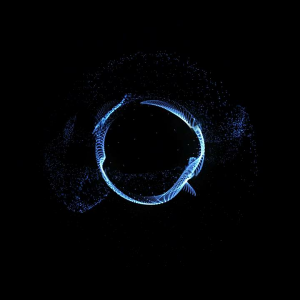 Drumandbass FM-logo