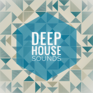 Deep House Sounds-logo
