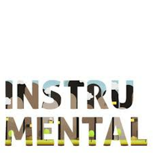 Instrumental
