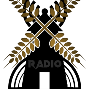 V FM-logo
