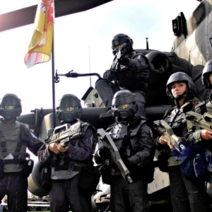 German Starship Troopers-logo