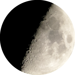Moon Safari-logo