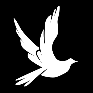 Xvh-Radio-logo