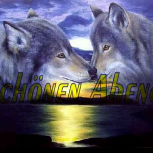 Biggiswolfsound Radio-logo