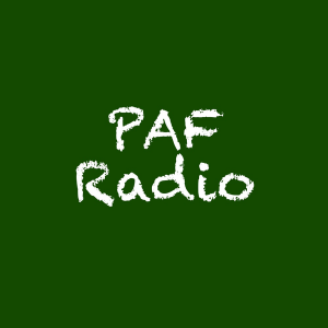 Pfaffenhofen Radio-logo