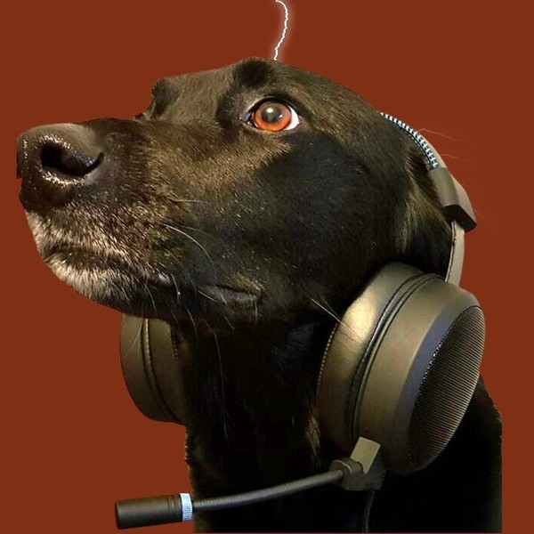 FS1 Free Radio TuneIn