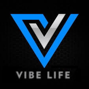 Vibelife-logo