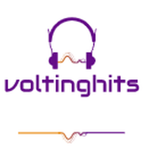 Voltinghits-logo