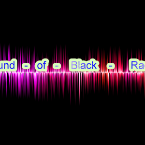 Sound Of Black Radio-logo