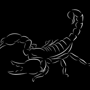 Toxxic-logo