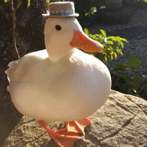 Quack FM-logo