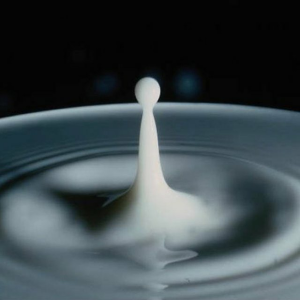 Milkdrop-logo