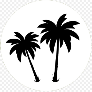 Palm FM-logo