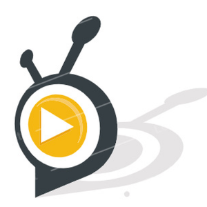 Soundfire Radio-logo