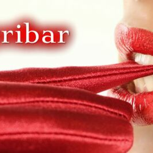 Skyribar-logo