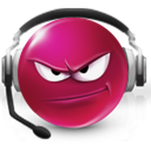 Frosch-Radio-logo