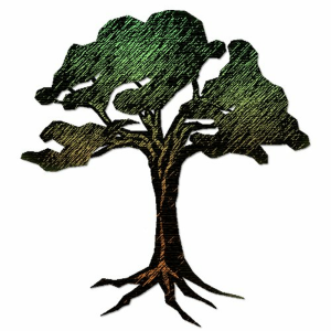 Freifunkterraconia-logo