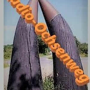 Radio Ochsenweg-logo