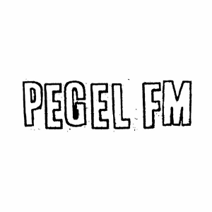 Pegel FM-logo