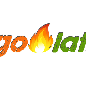 Fuego Latina FM-logo
