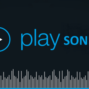 Playsonico-logo