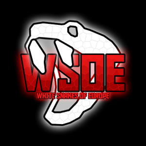 Wsoe-logo