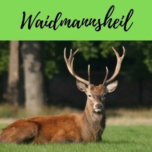 Waidmannsheil-logo
