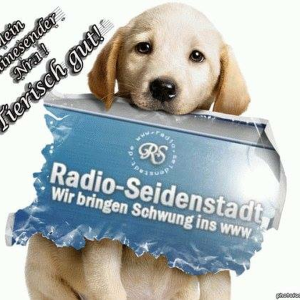 Radio Seidenstadt-logo