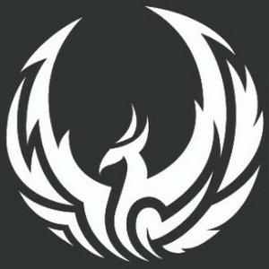 Radio Phoenixsystem-logo