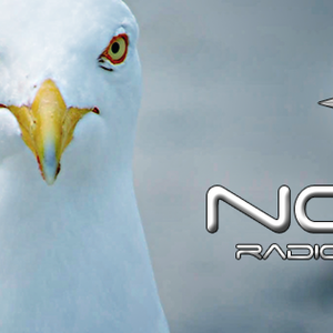 Nosw Podcast-logo