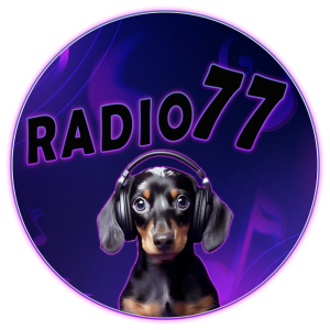 Mix 4 Fun Radio-logo