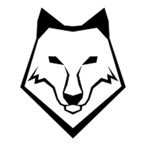 Ryzen FM-logo