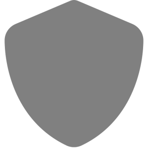 Netflare-logo
