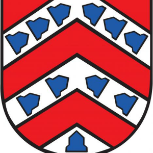 Marschvibes-logo