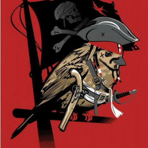 Diedeichpiraten-logo