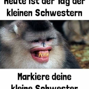 Sguenther Moeth-logo