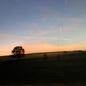 Einfach Nur Perfekt-logo