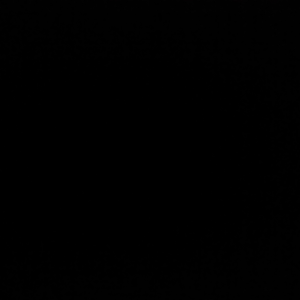 Leon Radio-logo