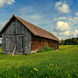 Susesmusikscheune-logo