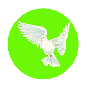 Lia Rose-logo